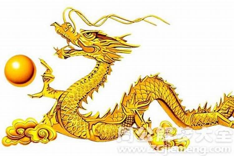 梦见金龙向我扑来