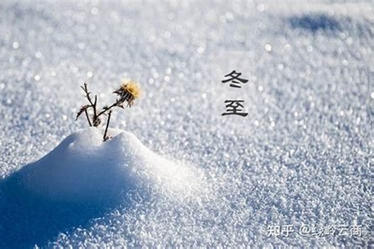 属鸡犯太岁的年份