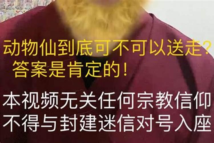 我身上三个仙附在我身体里,两个胡一个长仙,能和他们说话也能和鬼交谈...