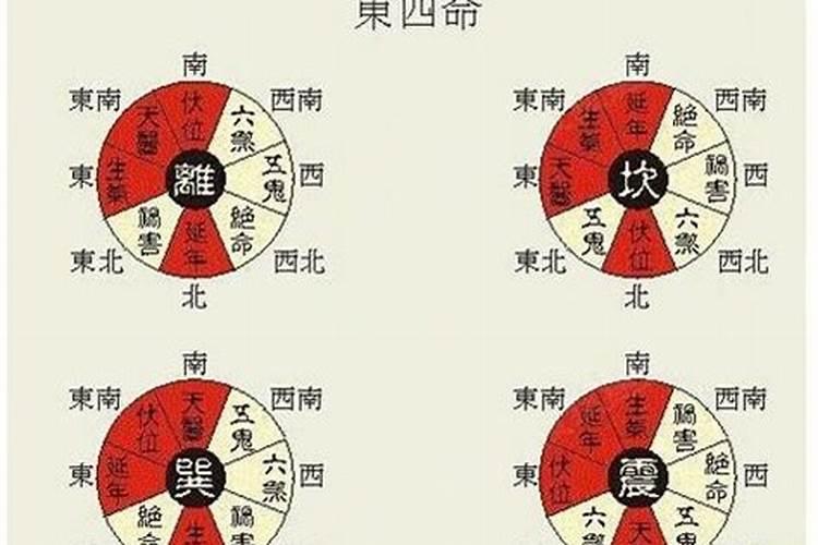 什么是东四命和西四命