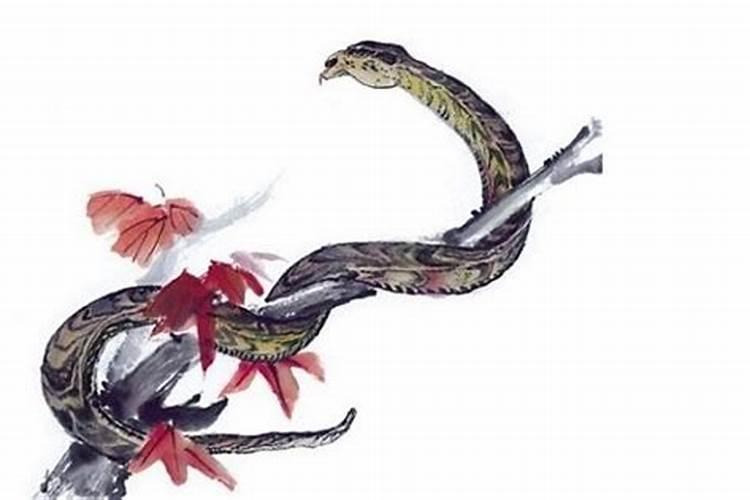 一个女生梦到一个男生三次代表什么
