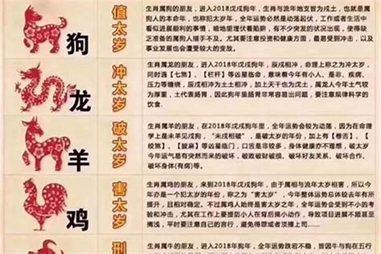 怎么查自己犯不犯太岁