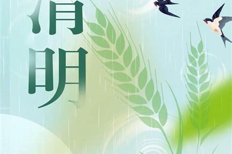 76年大年初一属相是兔吗,一九七六年出生属什么生肖