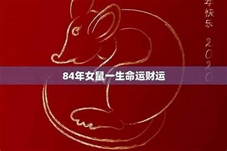生肖鼠84出生2025年几岁了