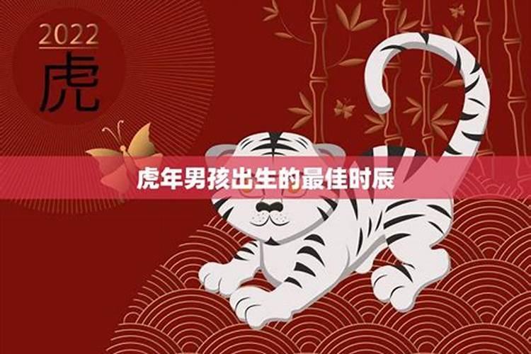 家里的文昌位应摆放什么植物