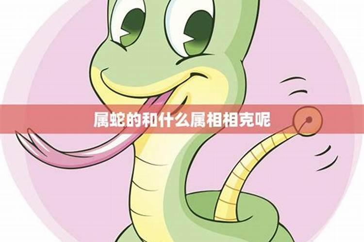 属蛇人一辈子的克星是谁