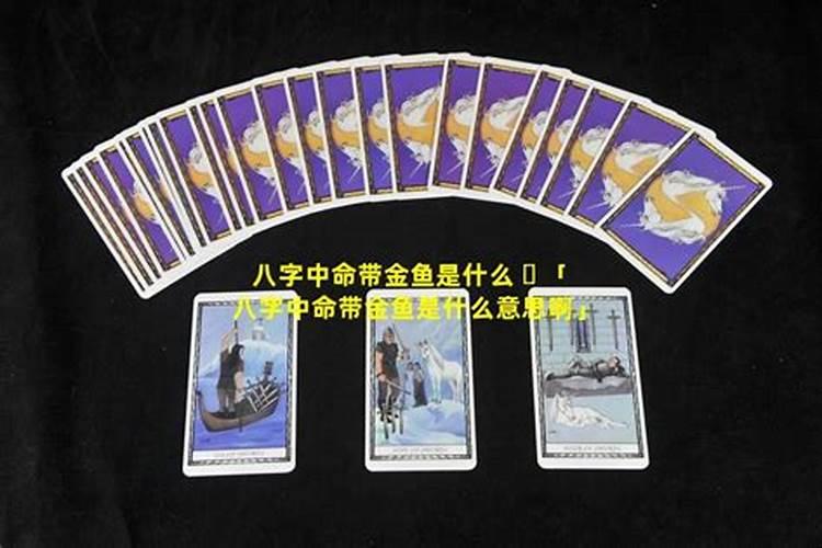 养鱼风水
