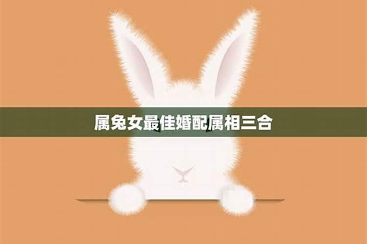 兔女适合找什么属相,属兔找什么属相最好
