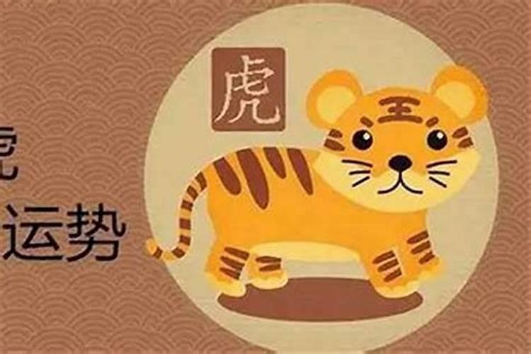 慈溪的民俗有哪些宁波野竹笋哪里最多