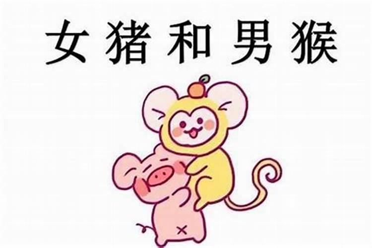 2025属蛇的人今年运气好不好2025属蛇人的全年运势如何