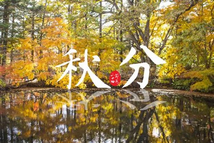 秋分有什么讲究 秋分有什么讲究吃什么