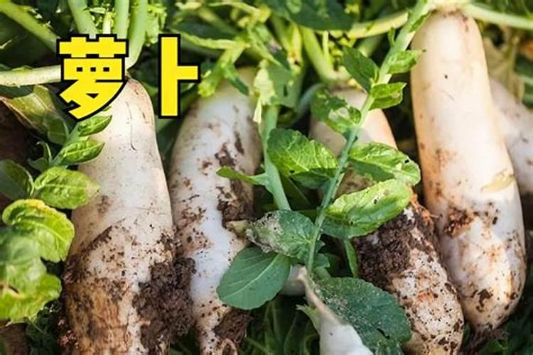 七月十五佛教有渡船,渡船上三个牌位是哪三位菩萨？