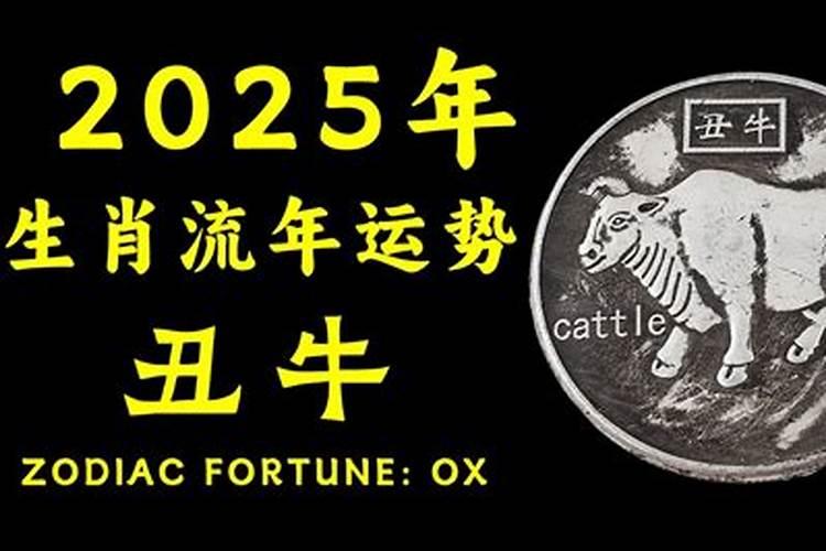 戊辰,己巳,壬申,癸酉是指一天当中的什么时辰？