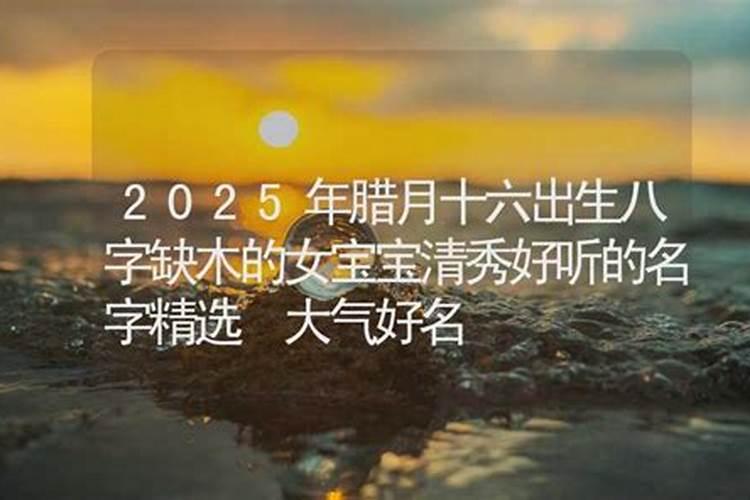 55年属羊2023到2025将来三年运势好吗？走向哪里？