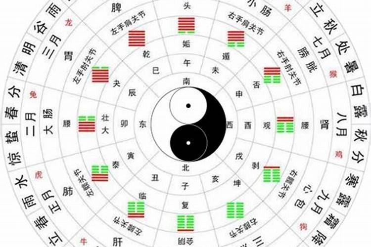 什么是五运六气？