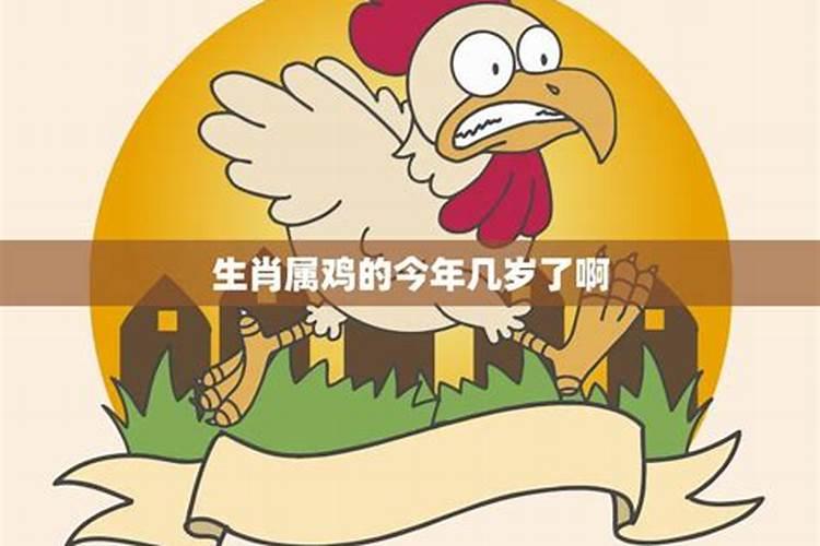 属鸡在金木水火土五行里属什么