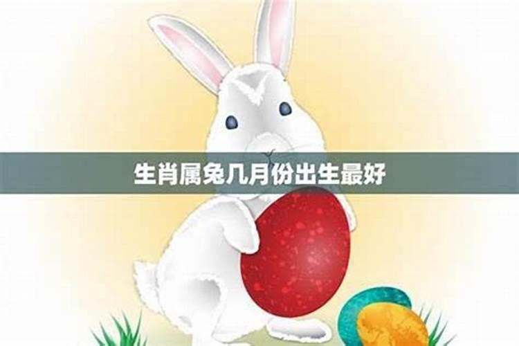 75年兔2025年运势