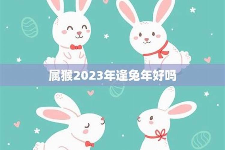 2025年哪些生肖犯太岁