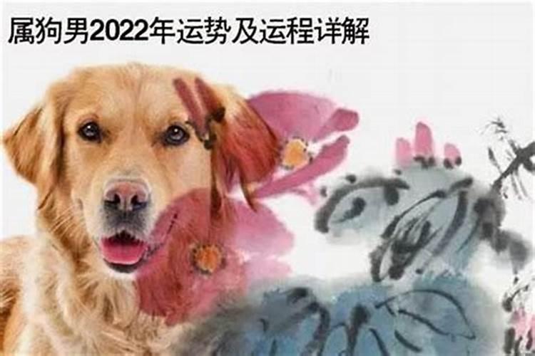 2025年属狗1982年生全年运势如何
