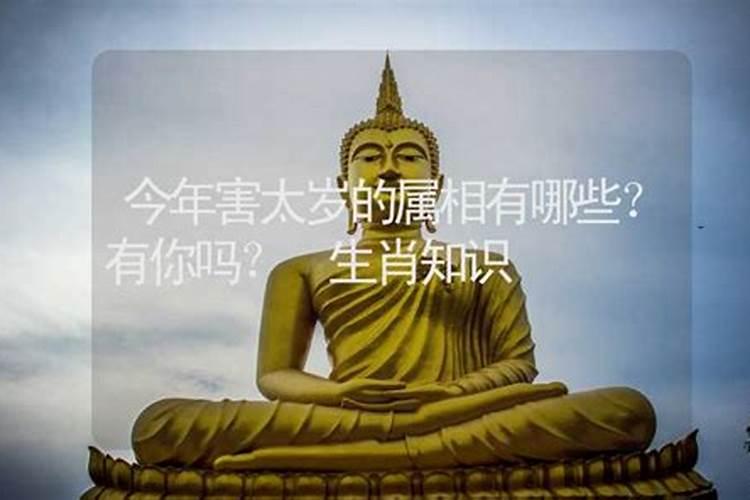 梦见自己牙掉了一颗是什么意思