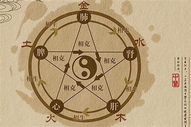梦见死猫是什么意思