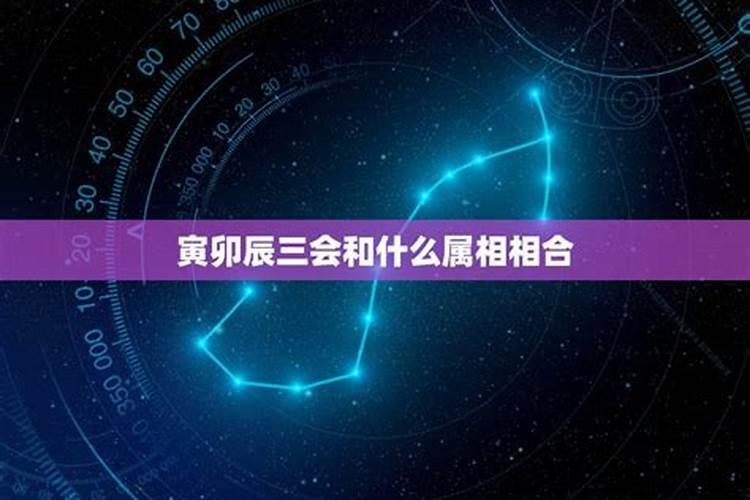 命局有寅酉,大运流年遇到丑辰会如何戊寅日主甲寅时？