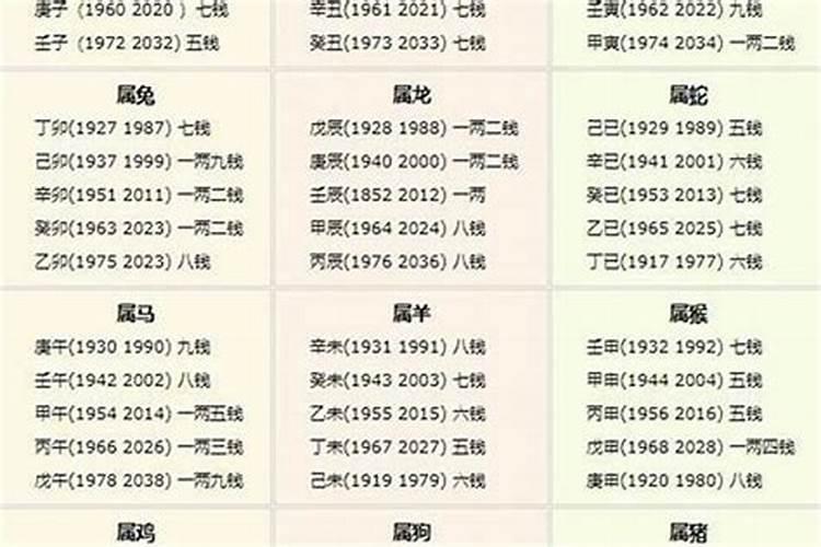 几斤几两几钱查询表