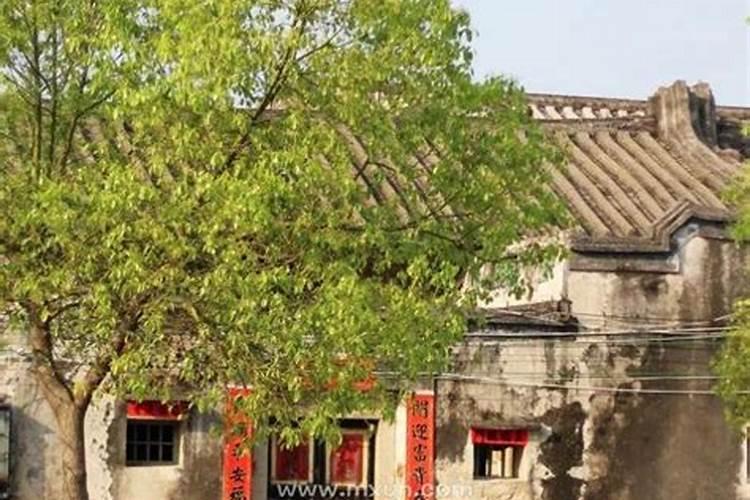 梦见老婆从老家回来了？