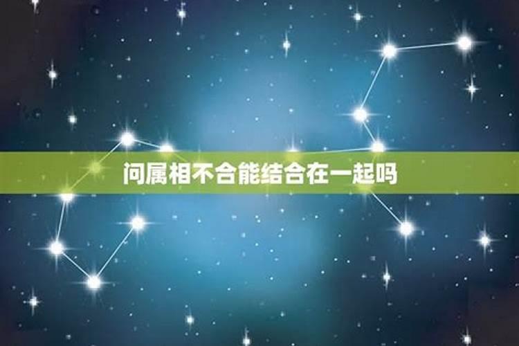 合婚生肖重要还是八字重 需要更看重哪个？