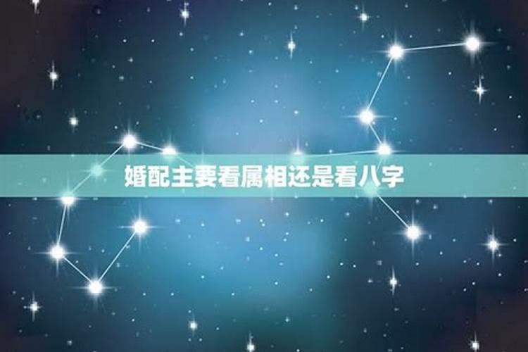 婚配是看属相还是五行,结婚是看属相还是五行