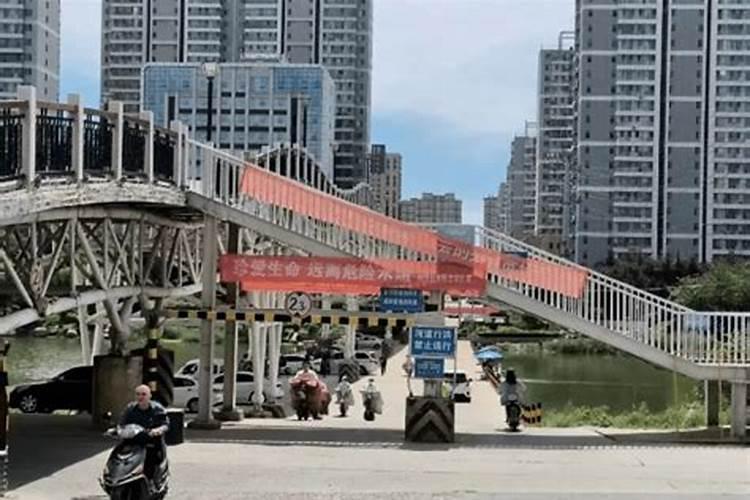 牛年属猪什么运势最旺呢
