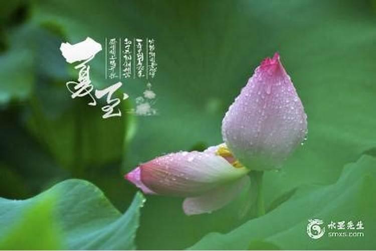 夏至理发有什么讲究？夏至这天忌讳什么？