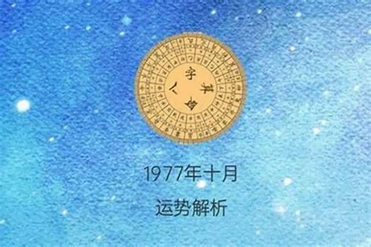 77属蛇的人2025年的运势及运程