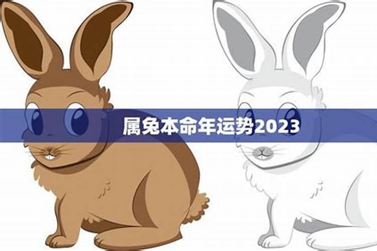 滕州经典文化,做好滕州市民文章