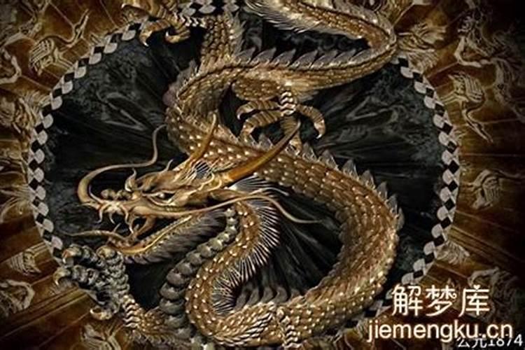 生孩子之前梦见了黑龙有什么寓意啊？有什么征兆吗？带不代表孩子不吉利...