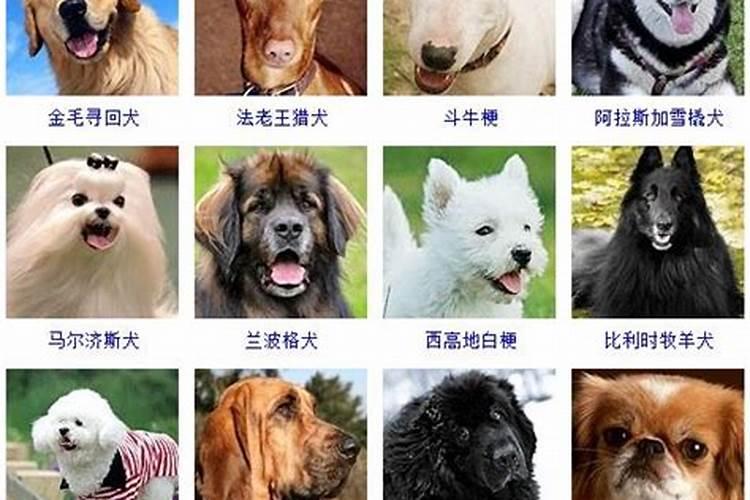 一九八二年农历七月十五白天出生的人命运怎么样