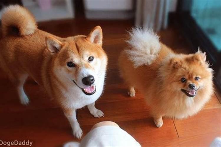 我是女孩子,我是一九九四年,农历七月十五号,丑时辰出生(属狗)