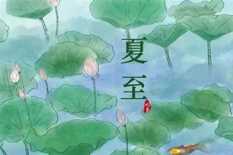夏至节气什么意思含义