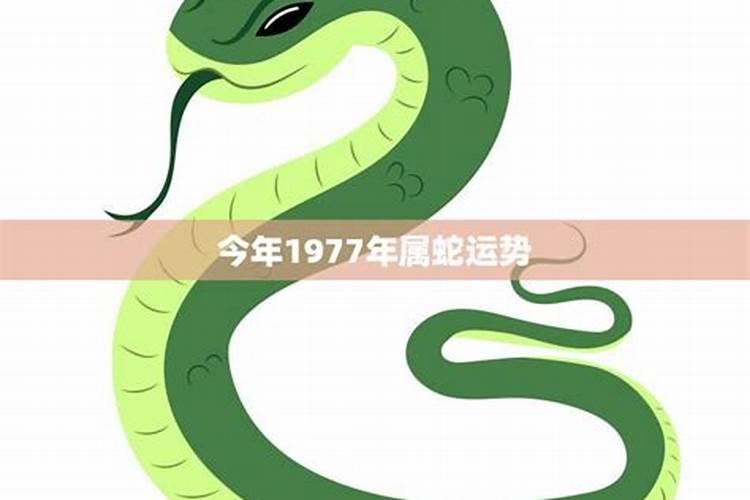 梦见去扫墓死人在棺材起死回生的预兆