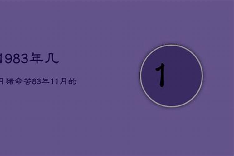 属猪腊月出生命运如何