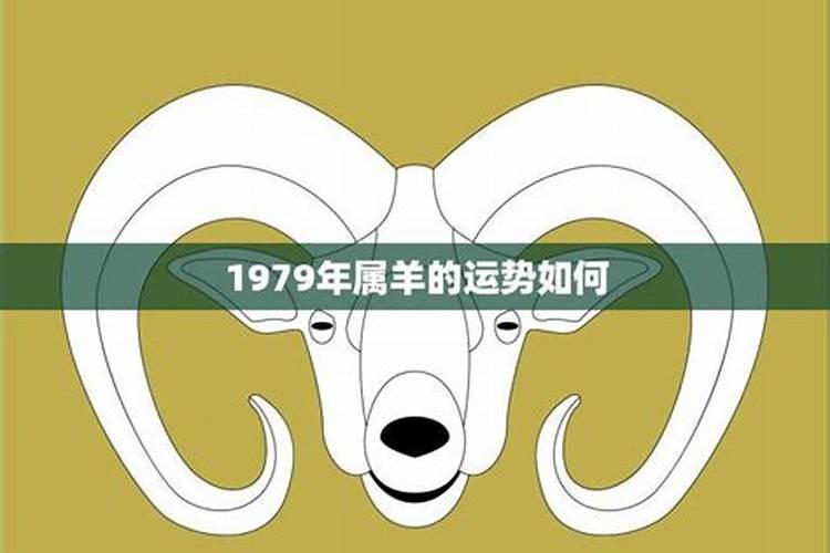 79年属羊男在2025年的运势和财运