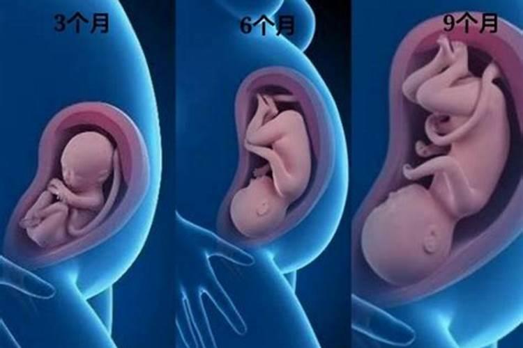 梦见女朋友怀孕了是什么意思