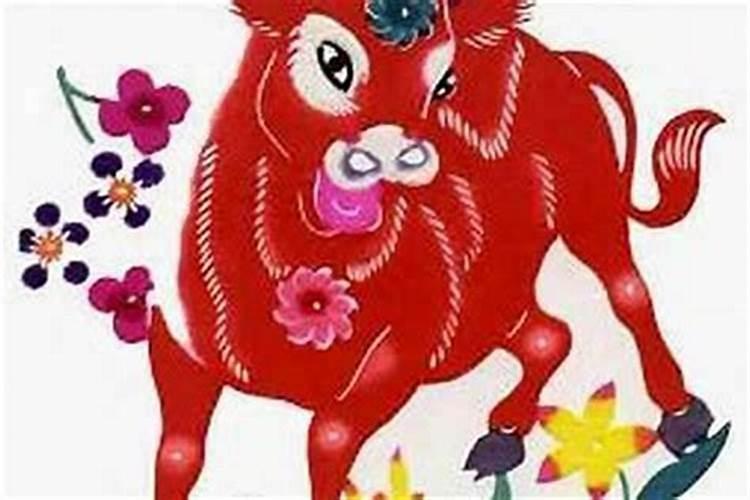 立夏和夏至的区别,哪个节气代表夏天来了？