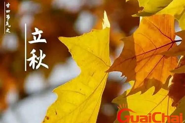 男女双方八字测婚姻,八字测婚姻的方法有哪些？