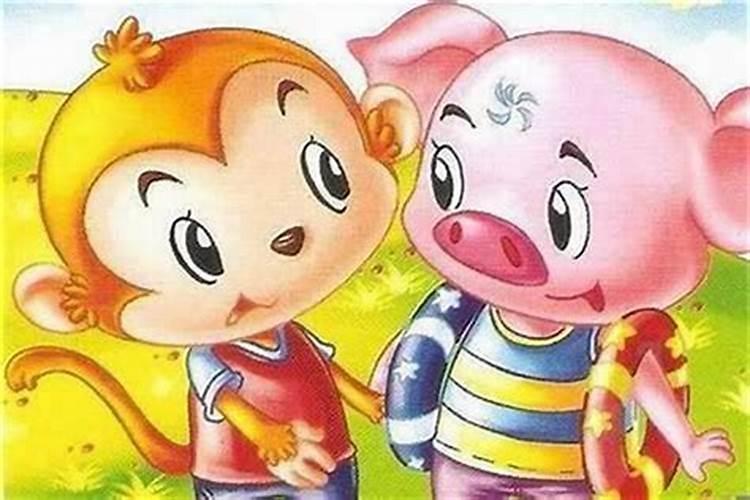 属猴男与属猪女不合、克命吗