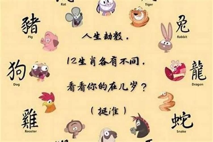 2021年犯太岁的4大生肖？本命佛即可化解!