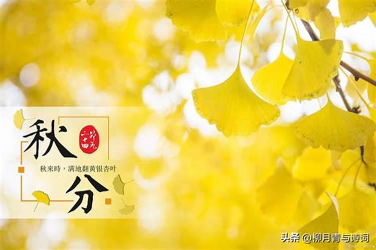 秋分养生有哪些注意事项