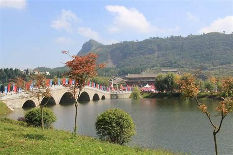 家里养金鱼有什么风水讲究吗