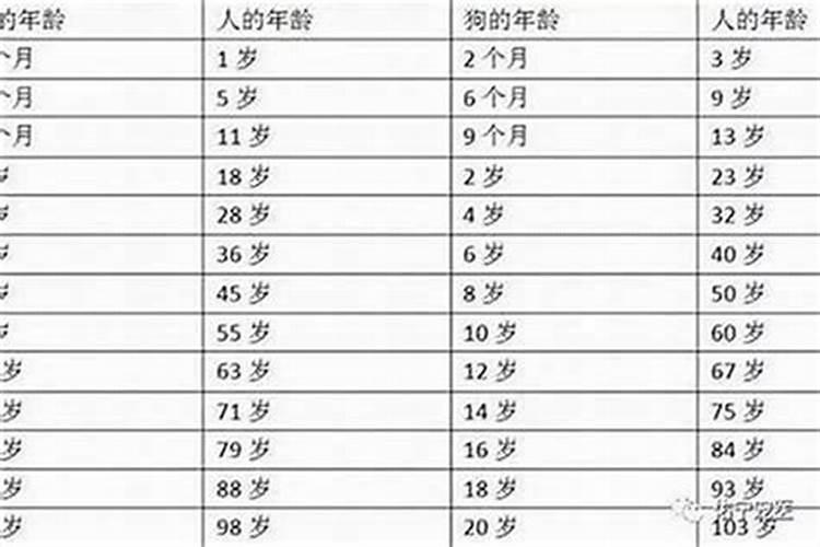 本命年虎年要穿红色吗？