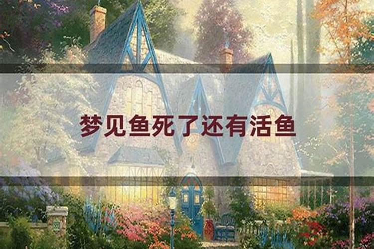 梦到鱼死了,但还有活鱼